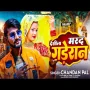 Desila Mard Gaderan Mp3 Song Download